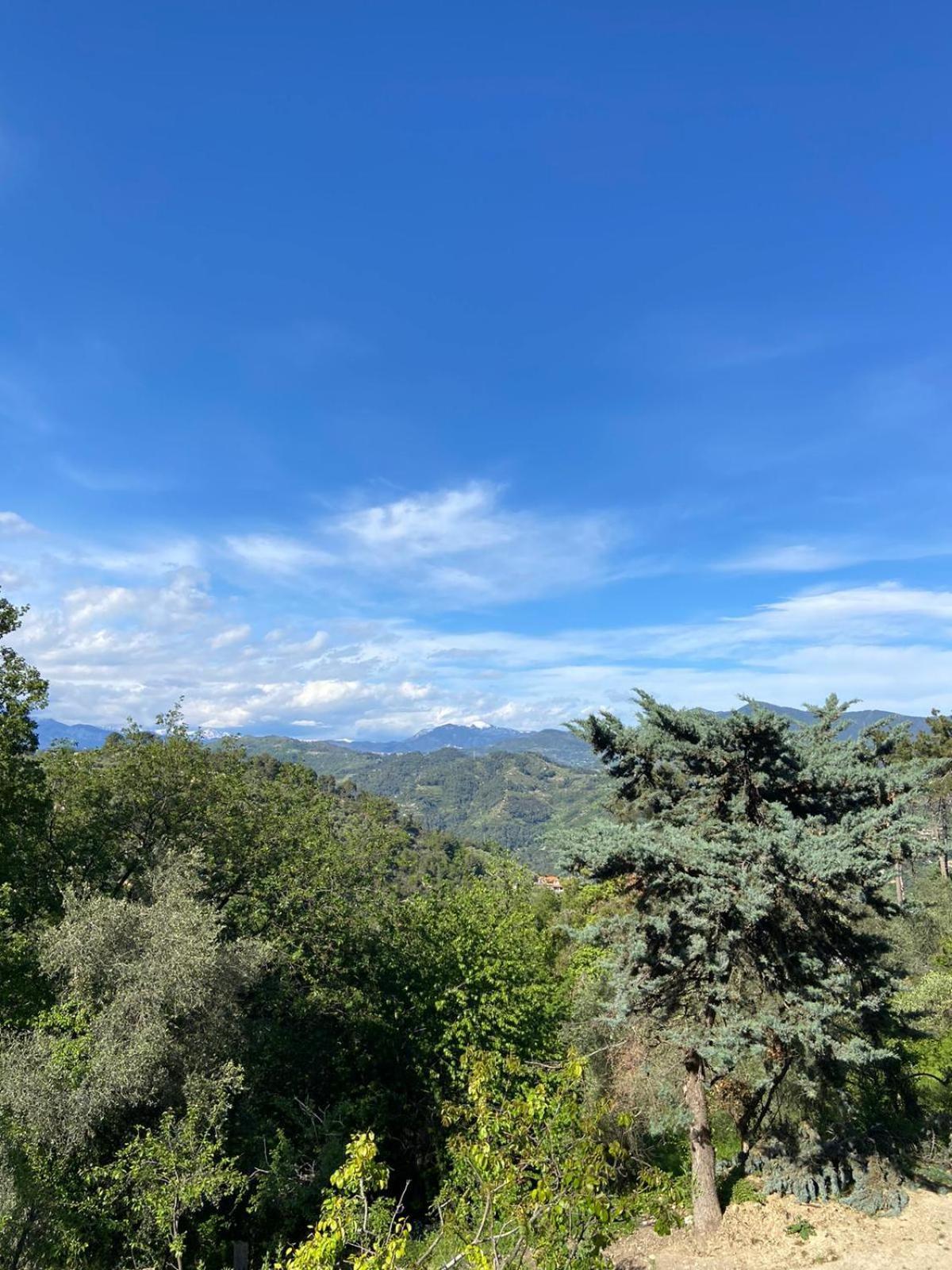 La Casa Degli Ulivi Camporosso (Liguria)