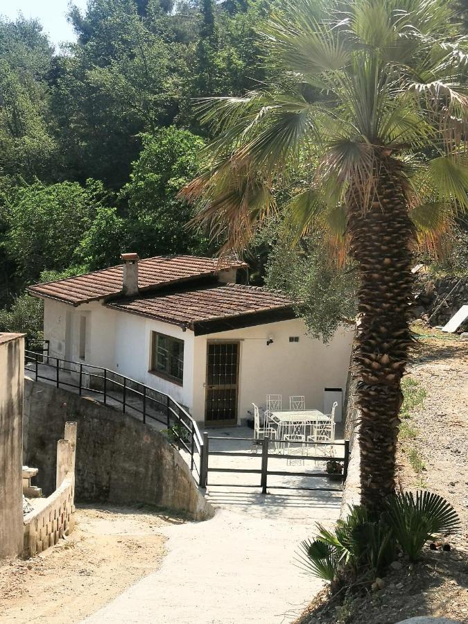 La Casa Degli Ulivi